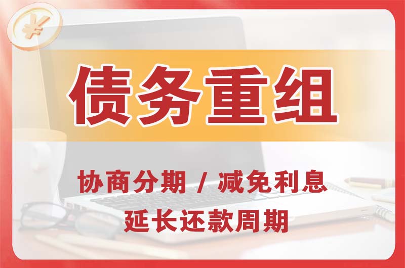 南雄债务重组