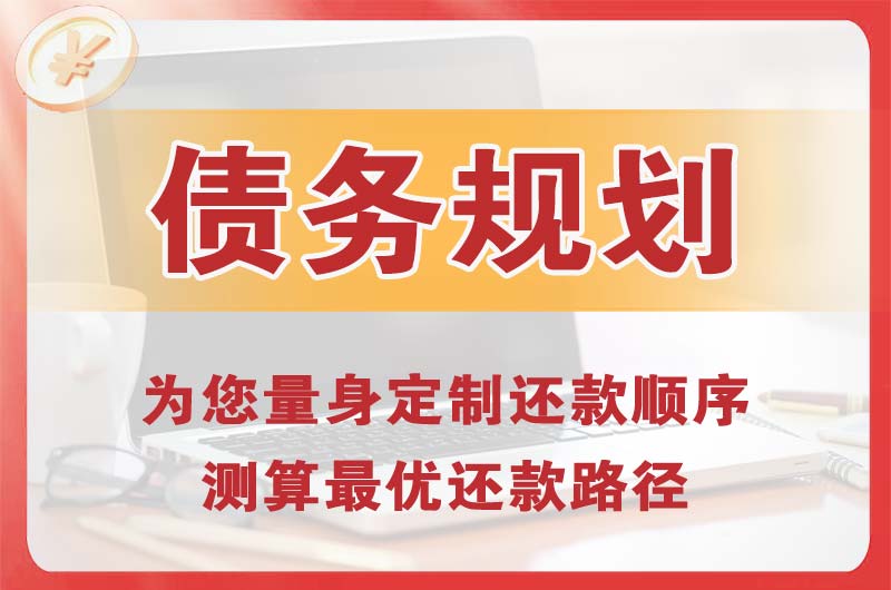 南雄债务规划